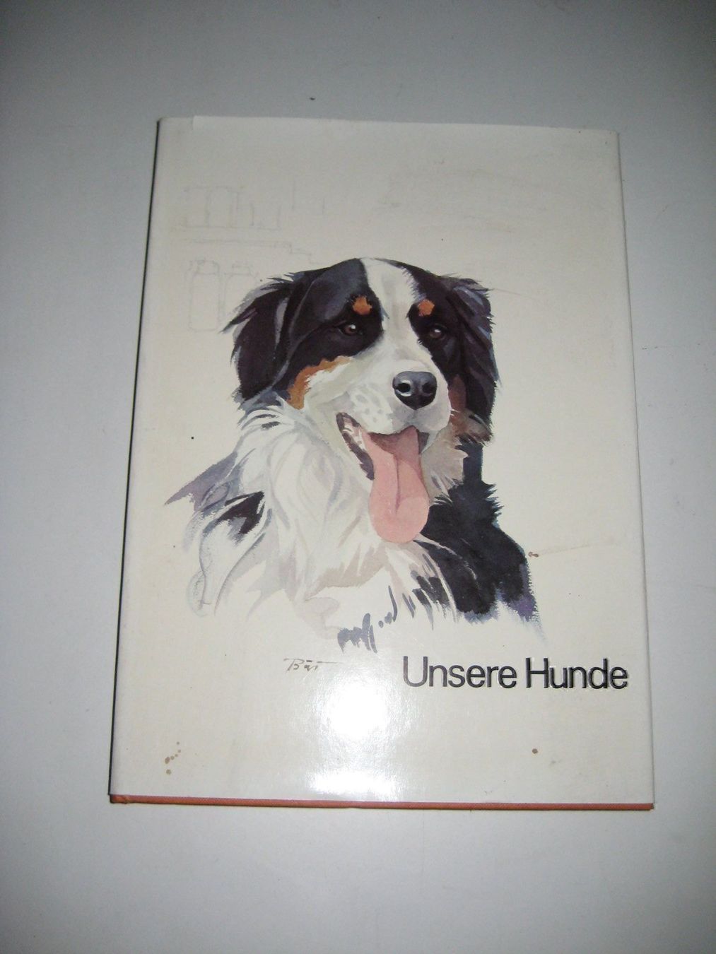 Libri: Buch "Unsere Hunde" – Usato da Neftenbach venduto da Werthe