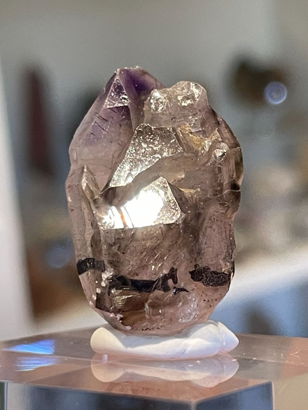 Minerali & Pietre curative: Wunderschöner Super-Seven-Skelett-Rohstein – Nuovo (secondo la descrizione) da Schiers venduto da sisikristall