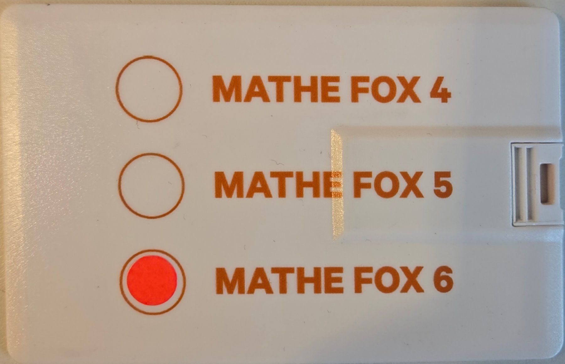 Chiavette USB: Mathe Fox 6 – Usato da Witterswil venduto da RocioL 1