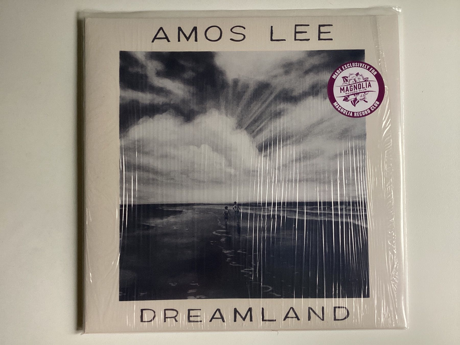 Dischi in vinile: Amos Lee LP - Dreamland – Usato da Gutenswil venduto da Hamzian