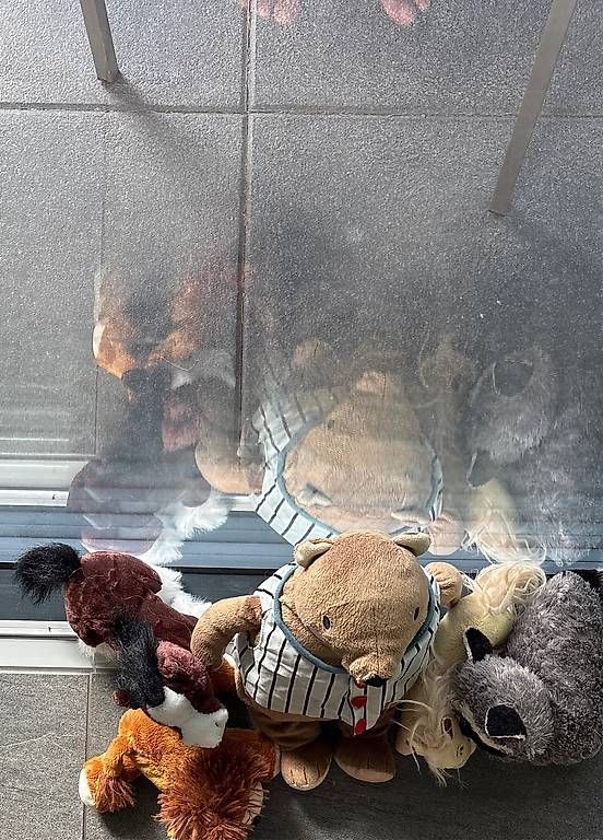 Spielzeuge: Plüschtiere Pferde Waschbär Löwe und Bär – Gebraucht aus Bellach von Fschoenbaechler 1