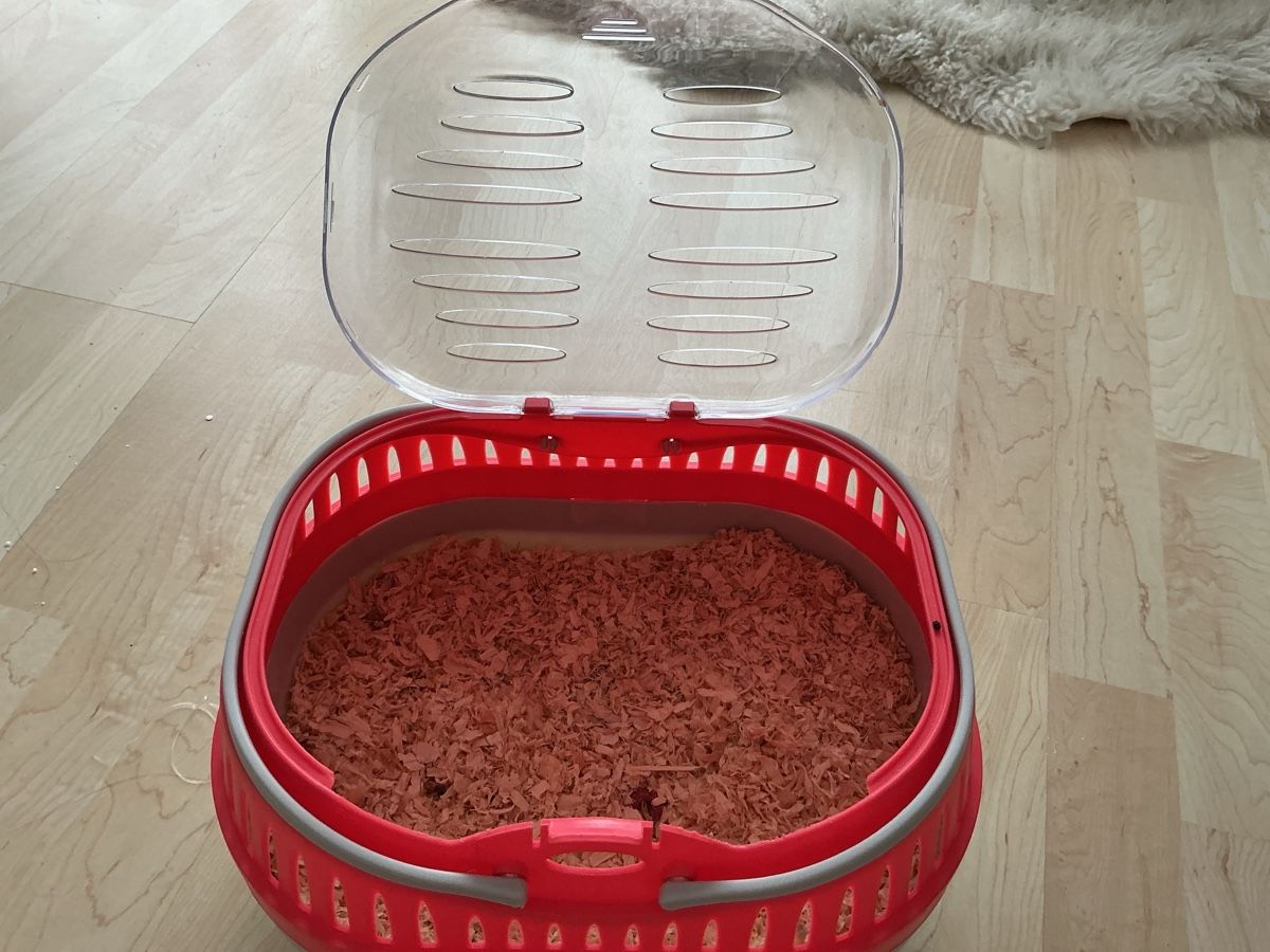 Gabbie, trasporto & Sicurezza: Hamster Transporter  – Nuovo (secondo la descrizione) da Allschwil venduto da han_w8cx 2