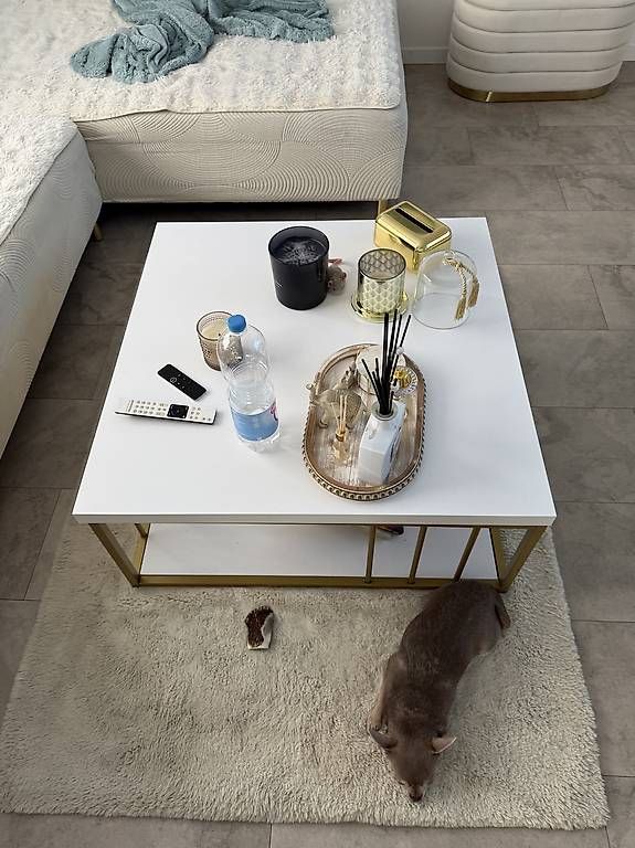 Tavoli: couchtisch weiss gold  – Usato da Adligenswil venduto da balboa5 1