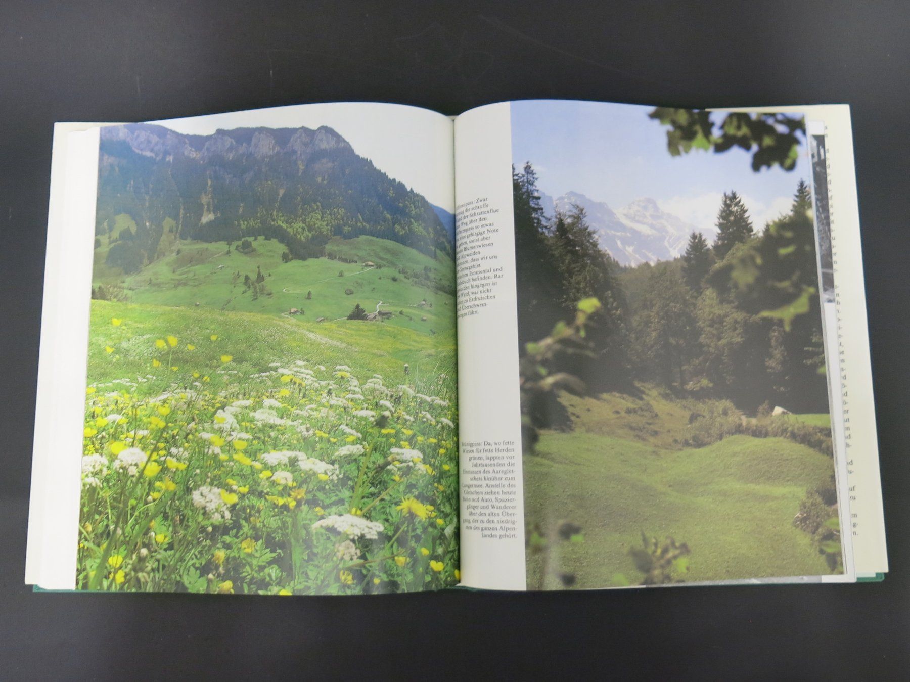 Bücher: BUCH Saumpfad-Wanderungen in der Schweiz – Gebraucht aus Schaffhausen von  5