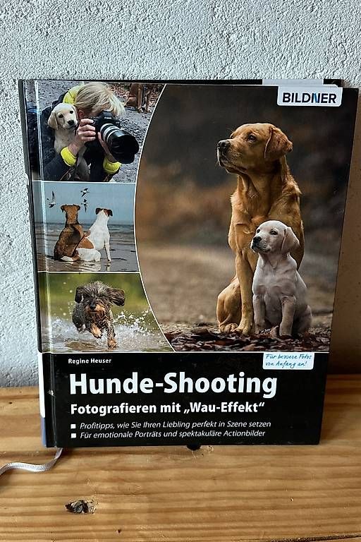 Libri: Hunde-Shooting ? Fotografieren mit ?Wau-Effekt? – Usato da Weissenburg venduto da Honigcalcit