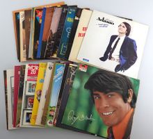 Schallplatten Div. Schlager und Volksmusik 14