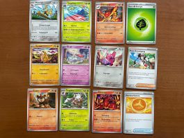 Pokemon 12er Karten Set (Versand gratis)