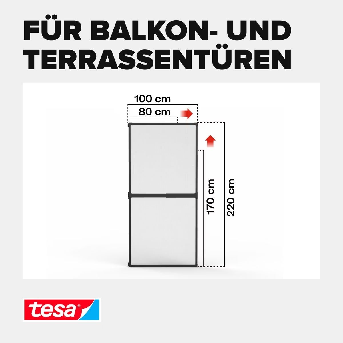 Altro per la casa: Fliegengitter tesa Falt Insektenschutz – Nuovo (secondo la descrizione) da Embrach venduto da GhibliStudios 5