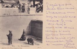 AK Bärengraben (Bern BE nach Masevaux-Masmünster F) 1902