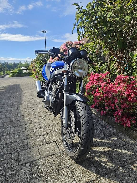 Strada: Suzuki GS 500 Motorrad Töff – Usato da Wabern venduto da mlue00 3