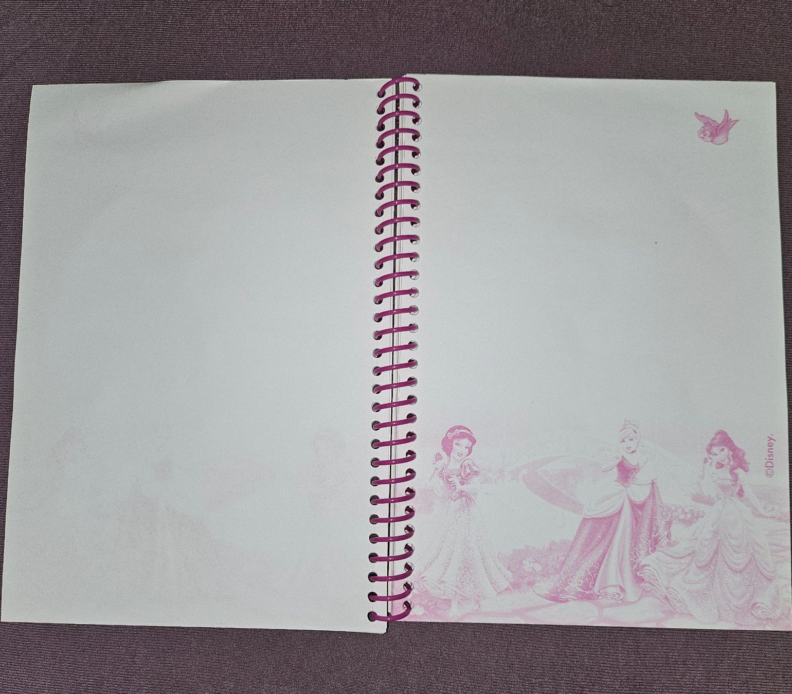 Blocchi: Notizbücher: Disney Princess & Monster High – Nuovo (secondo la descrizione) da Thun venduto da Shame 1