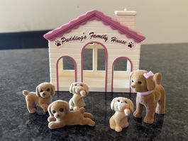 Pudding's Family House, Hundehaus mit 5 Welpen, Top!