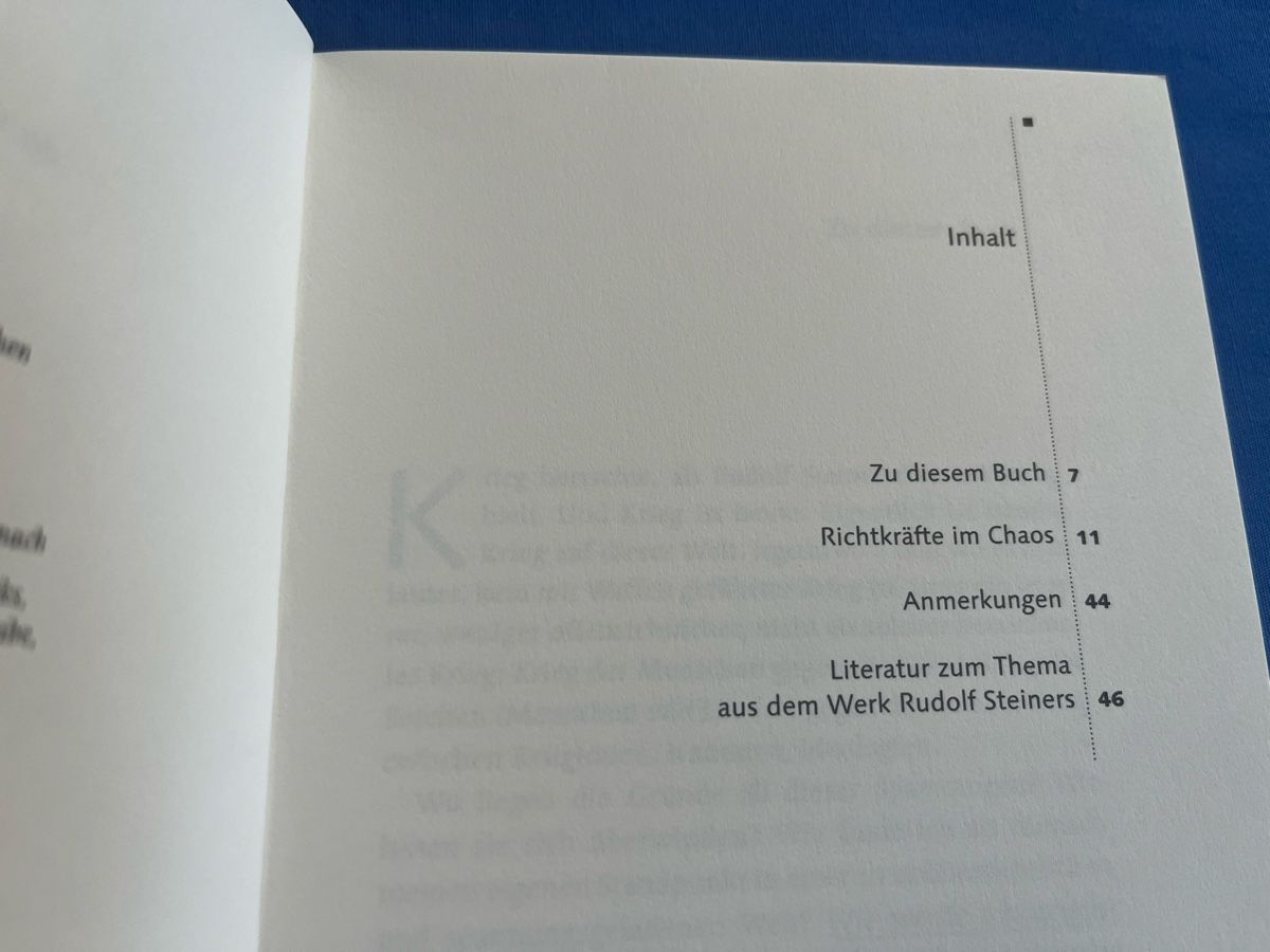 Libri: Rudolf Steiner Richtkräfte im Chaos – Usato da Romanshorn venduto da Apfelschuss 1