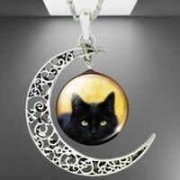 🐾🐈‍⬛ Verträumter Glasanhänger BLACK CAT im Halbmond 🖤💫