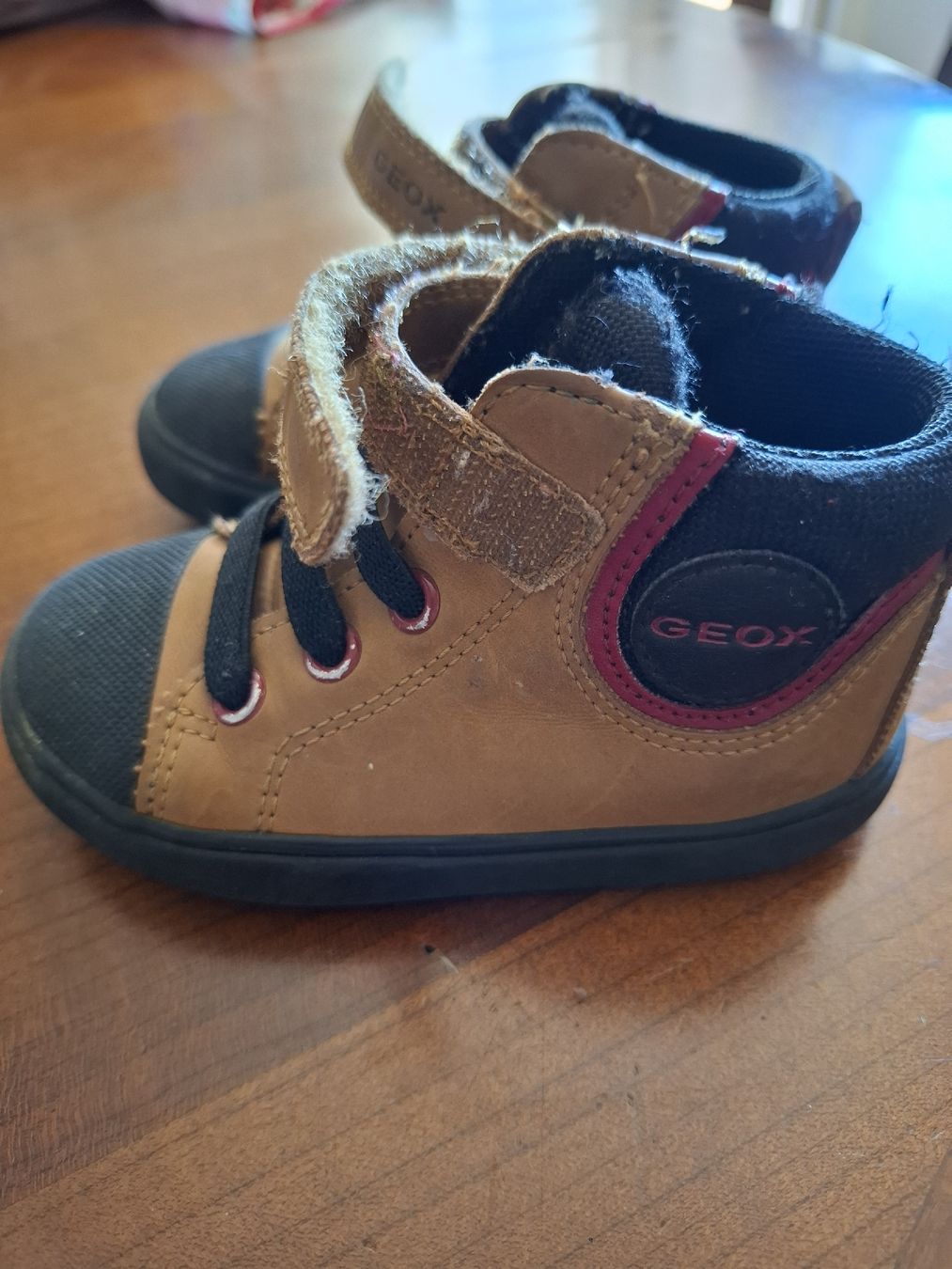 Geox Scarpe per ragazzi: Geox bimbo scarponcini 21 – Usato da Viganello venduto da sor_dcq8 3