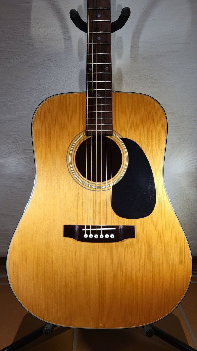 Aria Strumenti musicali: Western Gitarre Aria – Usato da Winterthur venduto da NorrSydGuitars 3