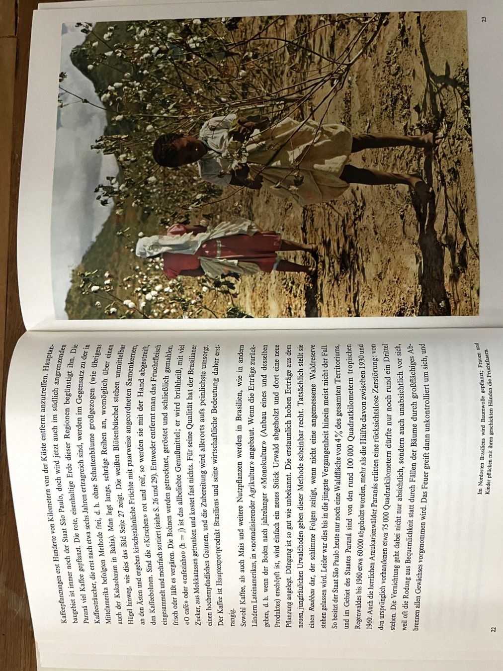 Libri: Silva Verlag, Brasilien , 1964 – Usato da Oftringen venduto da Vucki 5
