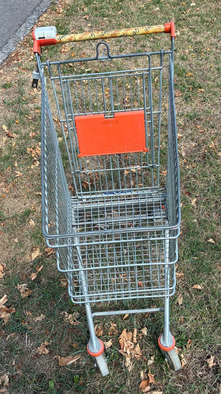 Altro per la casa: Alter Migros-Einkaufswagen – Usato da Bäretswil venduto da robsonantik 1