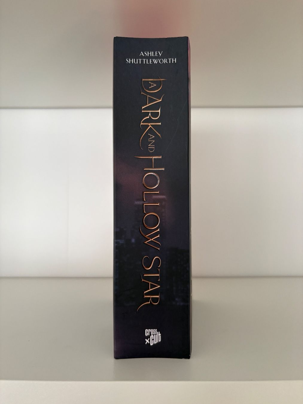 Libri: A Dark and hollow Star - Ashley Shuttleworth – Nuovo (secondo la descrizione) da Steffisburg venduto da elsa.catalina 3