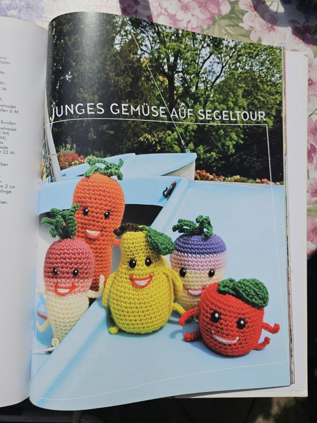 Libri: Häkelbuch "Kuscheltiere in den Ferien" – Usato da Ebikon venduto da SecondChance_byM 4