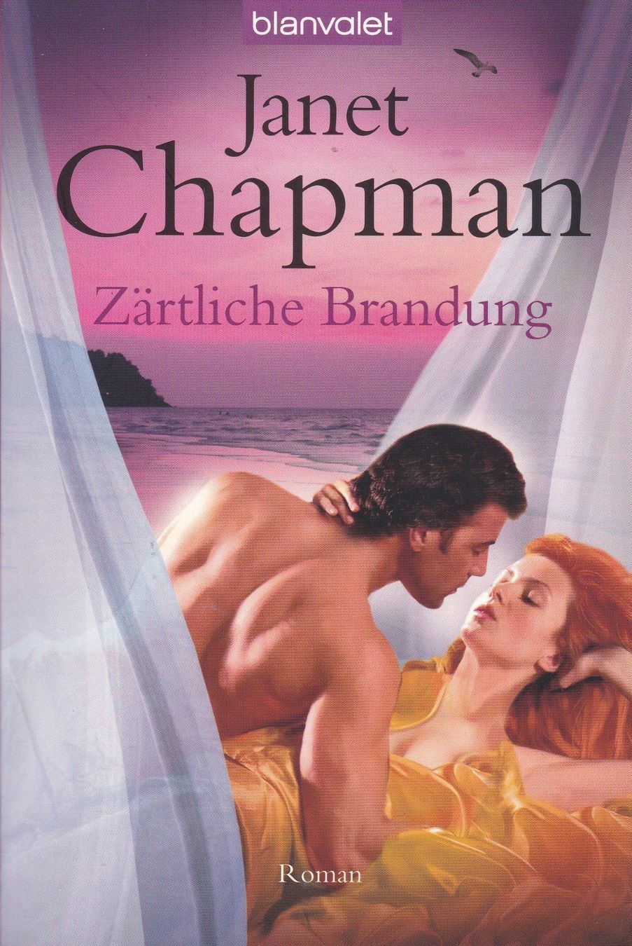 Bücher: Janet Chapman - Sinclair Brother 1 + 2 – Gebraucht aus Luzern von Baumhuepfer01 1