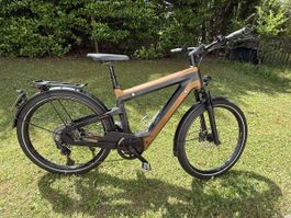 E- Bike Simpel Wirbelwind