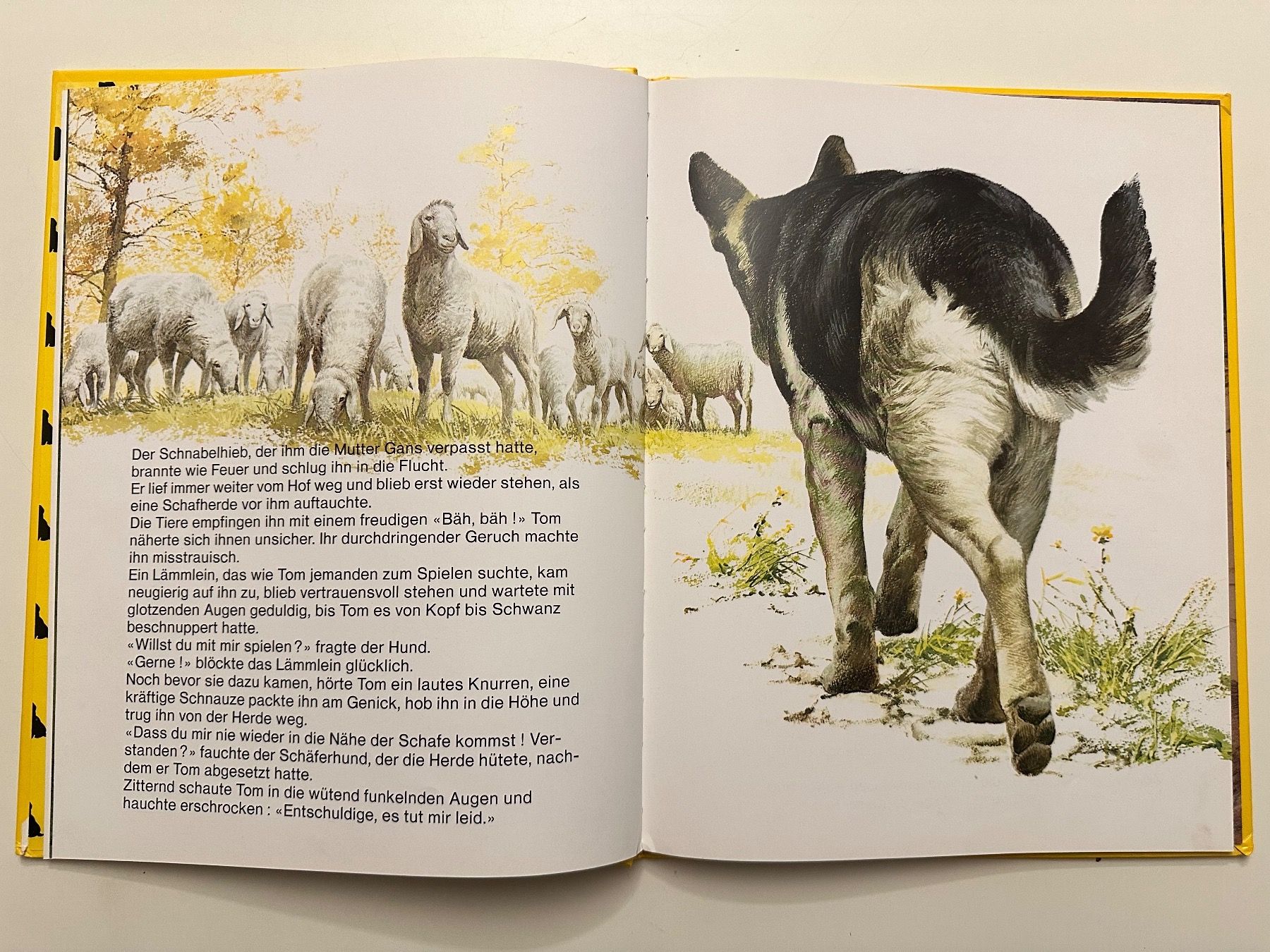Libri: TOM das herrenlose Hündchen  - Hardcover – Usato da Münsingen venduto da Ganjam 5