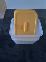 2x Frischhaltebox