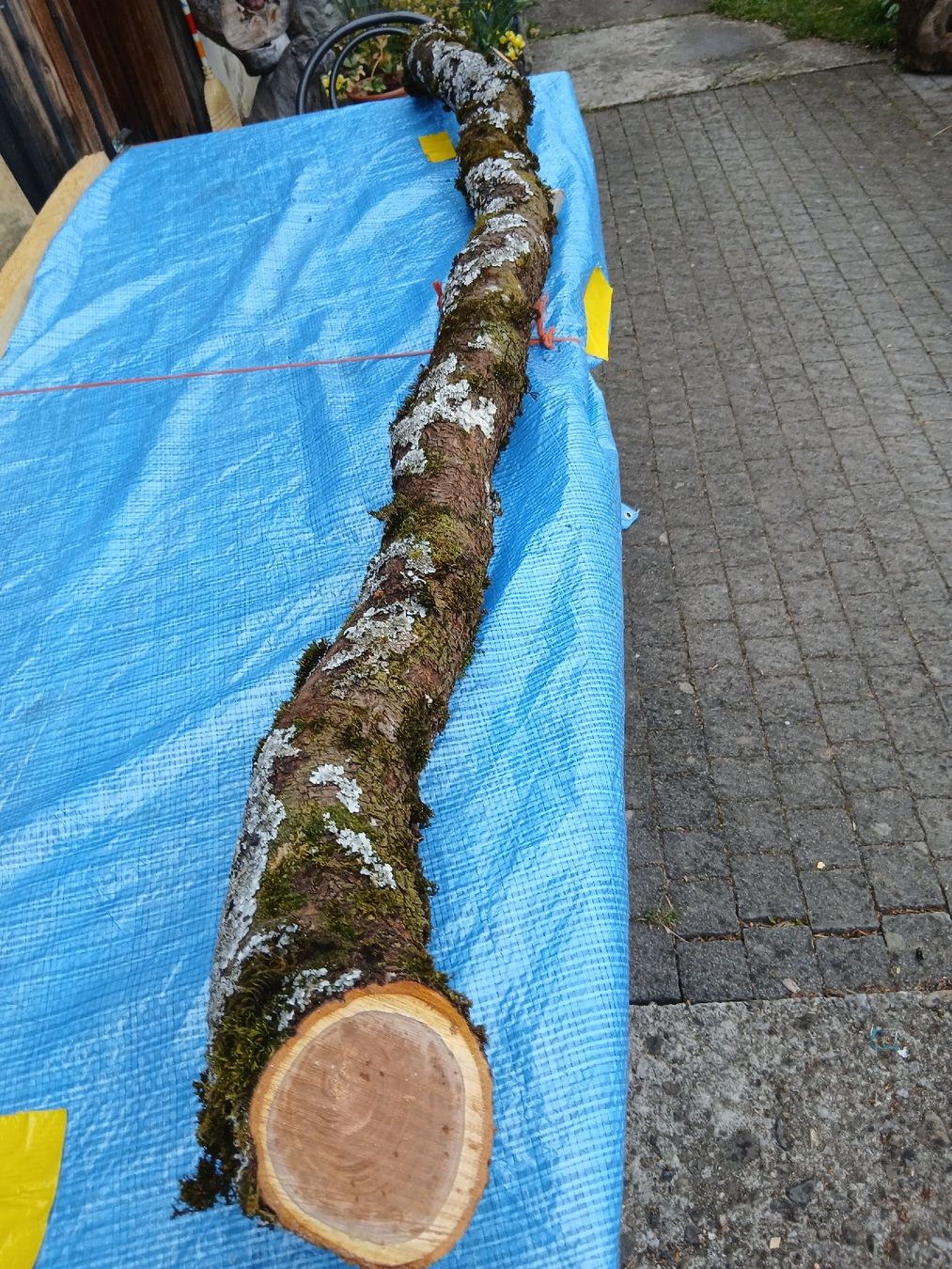 Holzartikel: Zwetschgen Holz Scheiben Epoxy – Neu (gemäss Beschreibung) aus Nesslau von Jakobi01 2