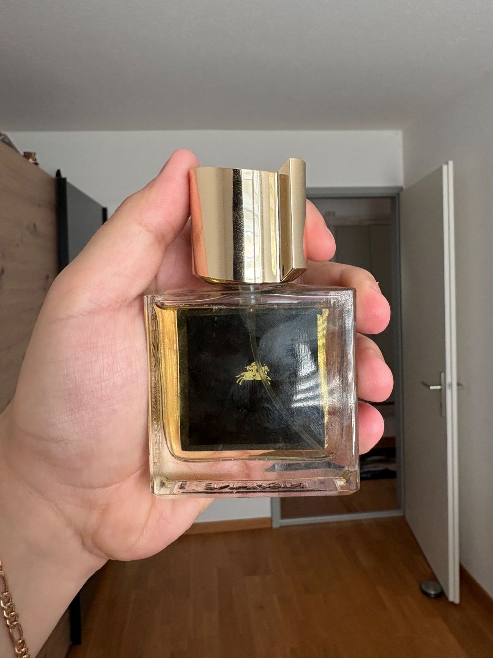 Nishane Profumi & Eau de Toilette: NISHANE HUNDRED SILENT WAYS X 50ml – Usato da Buchs SG venduto da leo_b9jm 1