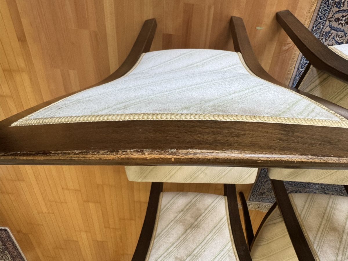 Sedie: 8 Esszimmer Stühle  – Usato da Langnau am Albis venduto da pla_2vk5 6
