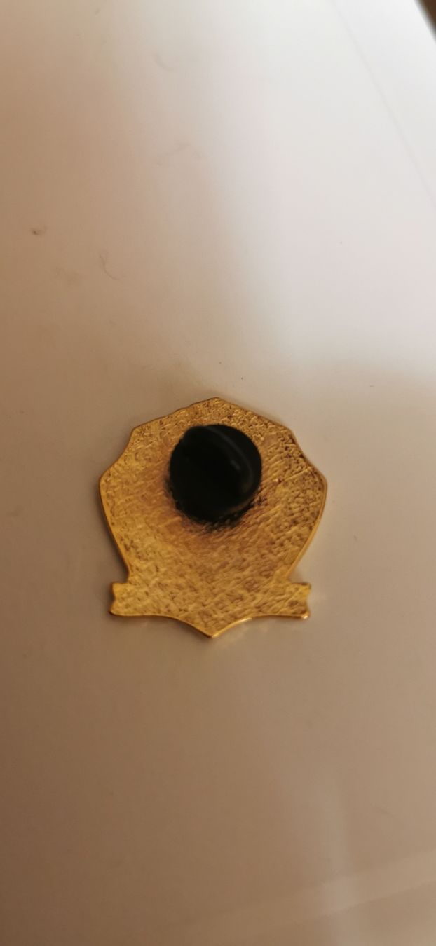 Placchette & Badge: Pin 75 ans HC Ottawa  – Usato da Genève venduto da vins50 1