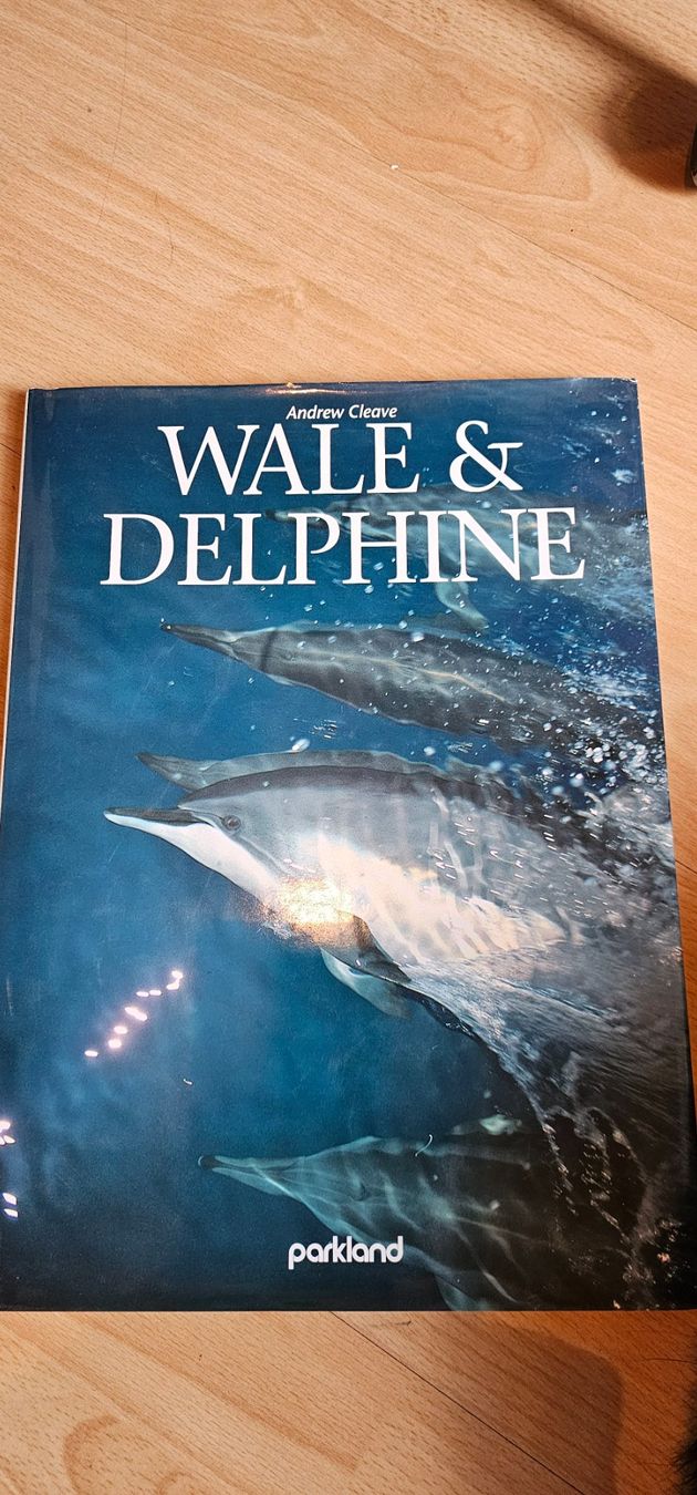 Libri: Wale & Delphine, Andrew Cleave – Usato da Tuggen venduto da man_qk6c