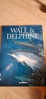 Wale & Delphine, Andrew Cleave