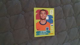 Panini WM 2026 - NED 20