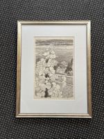 Original Lithografie von VICTOR SURBEK    (ID S293)