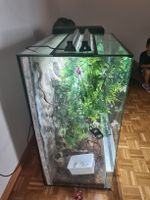 Terarium