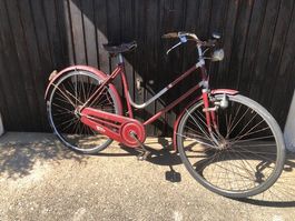 Ancien vélo Atala femme taille 50