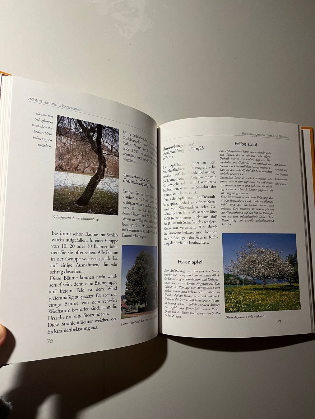 Libri: Kurt Simon: Rutengehen Erdstrahlen Wasseradern – Usato da glattfelden venduto da kimiaxel 4