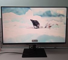 Samsung ViewFinity S8 -  S80UD, 32 Zoll Monitor, S32b800pxu