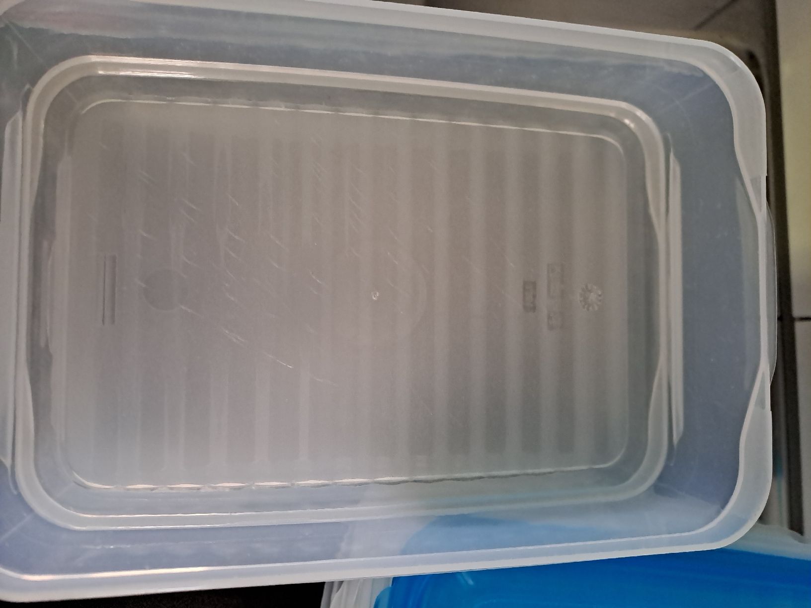 Contenitori & Simili: Set Lunchboxen blau individuel stabelbar – Usato da Rickenbach LU venduto da bishiida 4