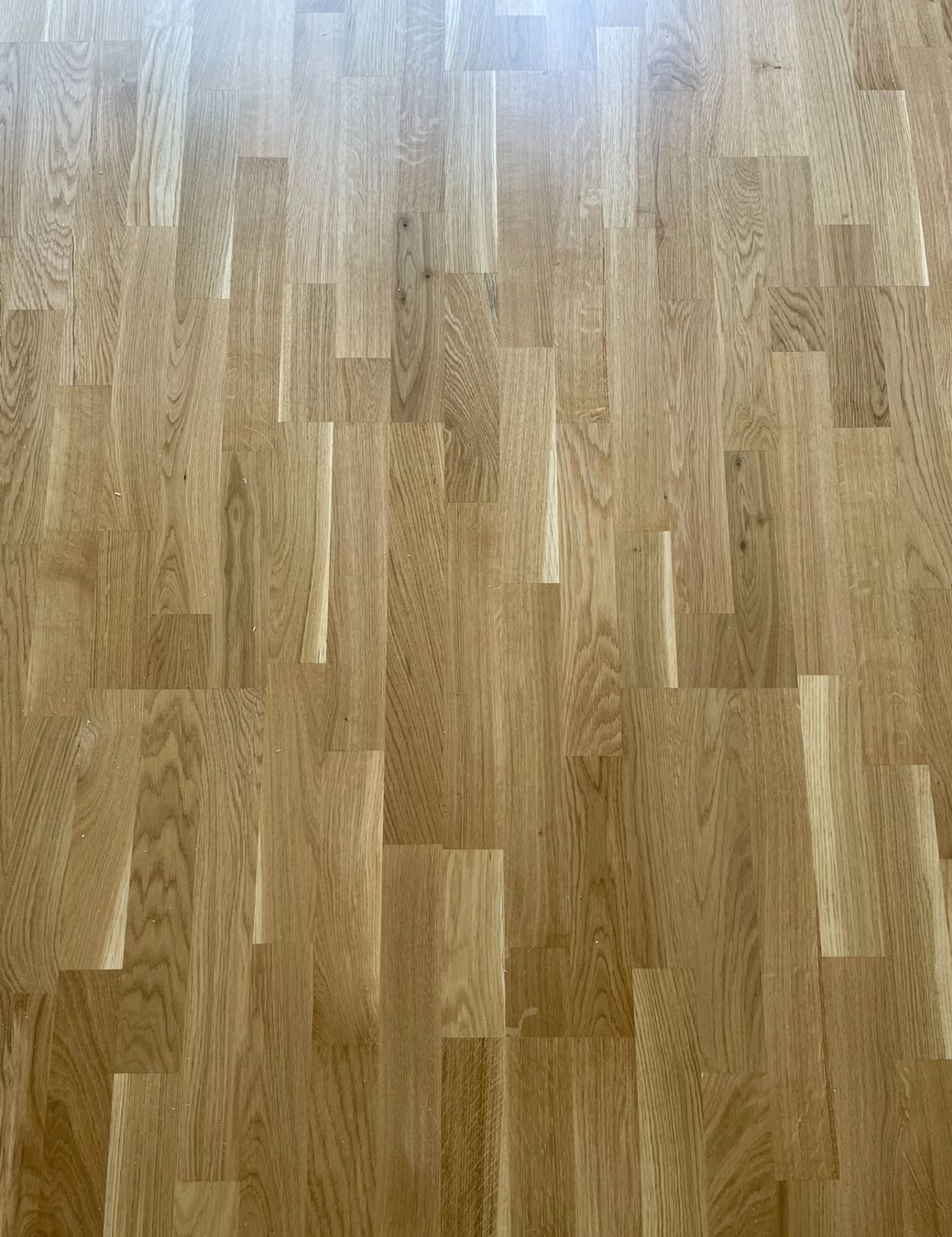 Articoli in legno: Parkett Eiche Lackiert – Usato da Würenlos venduto da Shop_Shop 1