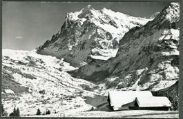 AK sw Grindelwald BE Wetterhorn,Gletscherdorf gastlich ≈1960