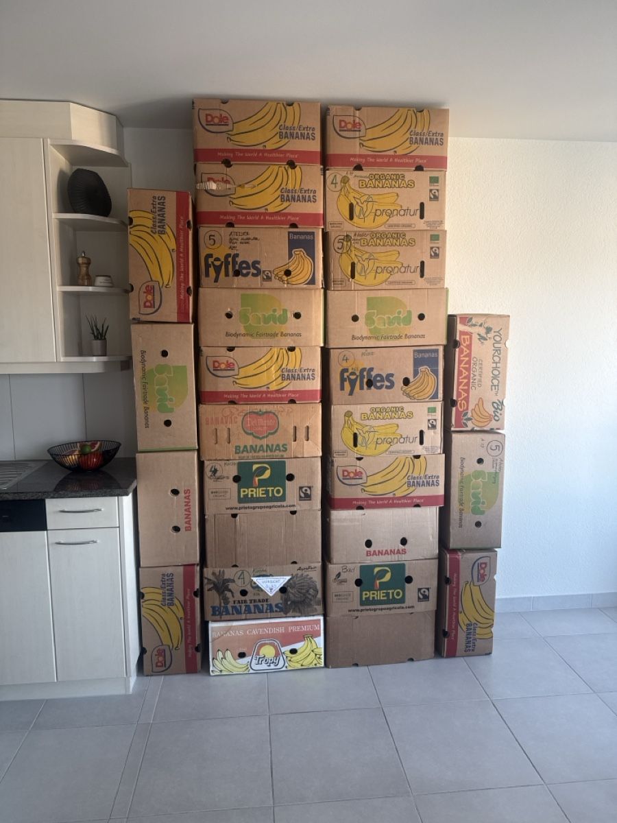 Cartoni: Bananenkartons – Usato da Männedorf venduto da Raffaela-123