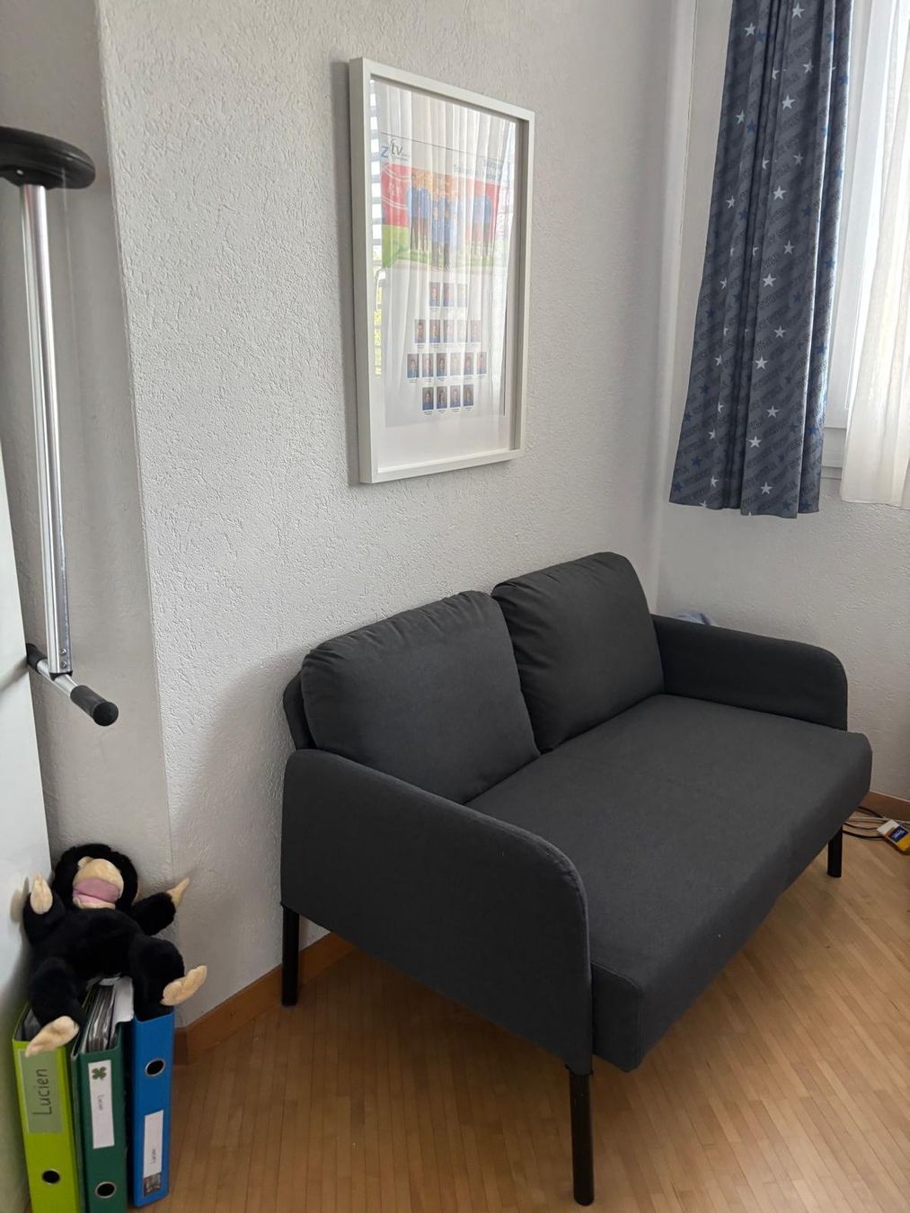 Ikea Sofas: GLOSTAD 2er-Sofa – D'occasion à Nürensdorf par Trisch 1