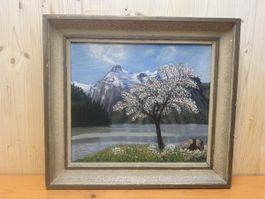 Gemälde, gerahmt, signiert, D.Trebal 1949, Bergsee Motiv