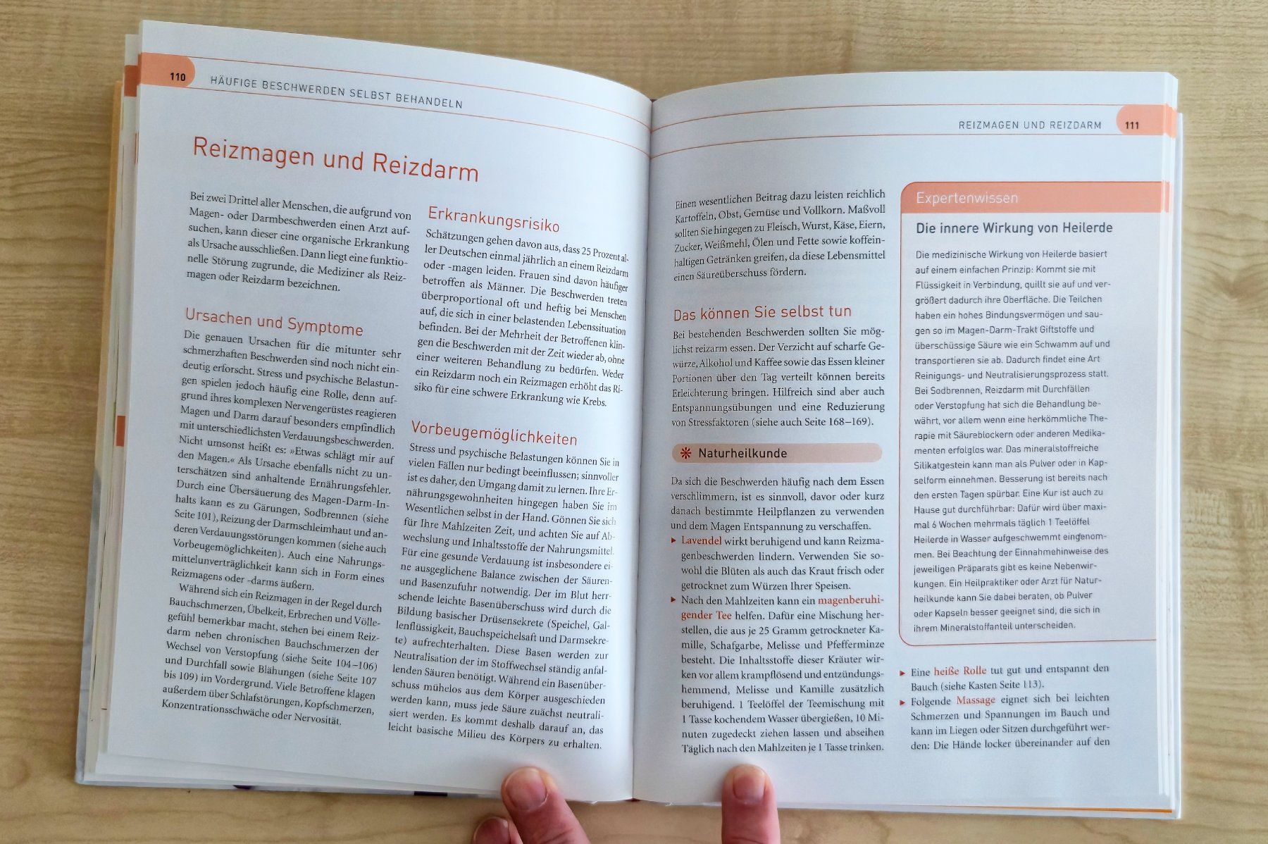 Libri: Meine besten Hausmittel – Nuovo (secondo la descrizione) da Rothenburg venduto da Ajax111 4
