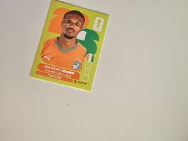 Panini WM 26 - CIV 14