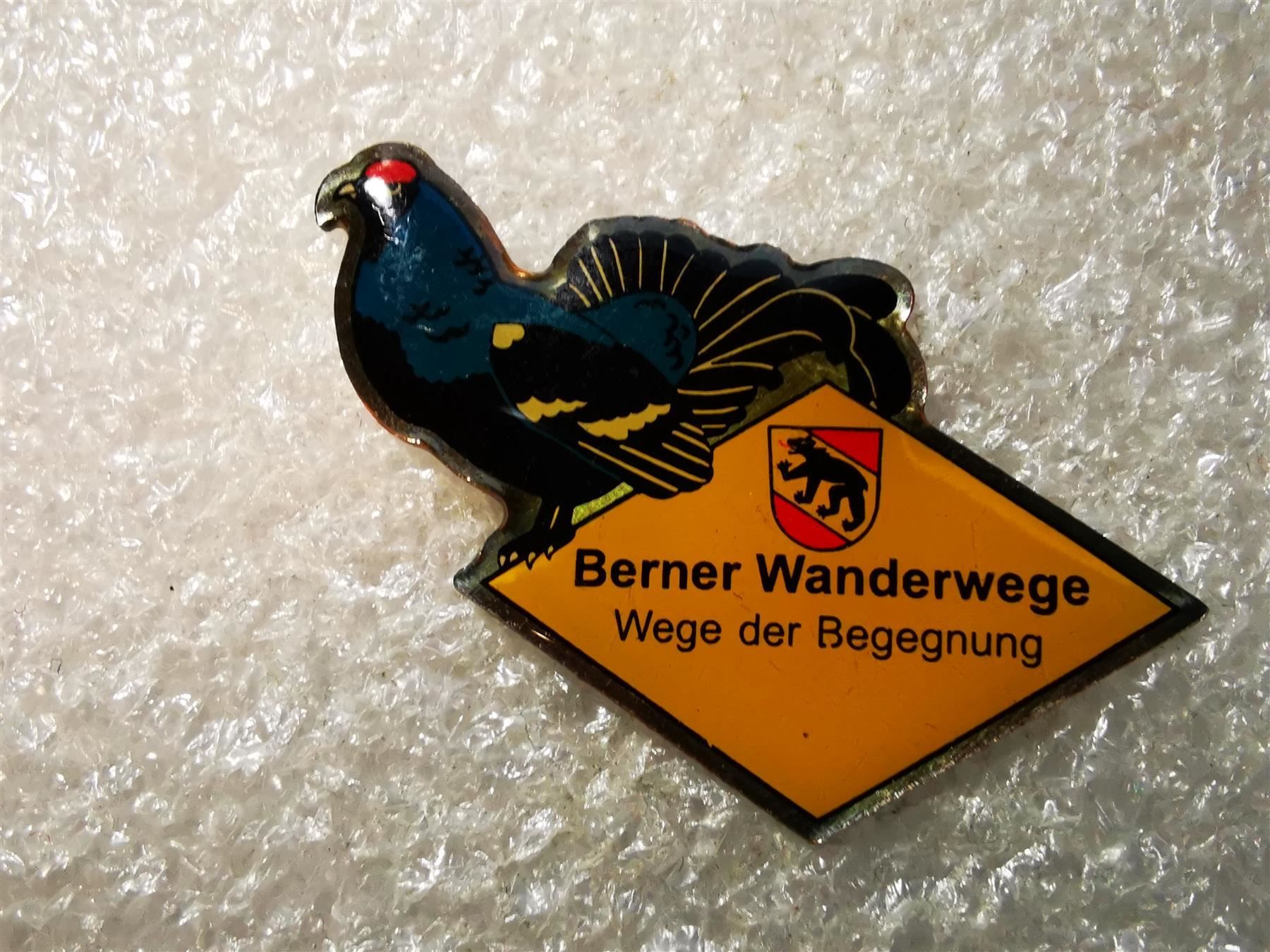Placchette & Badge: Ansteckpin 21: Berner Wanderwege – Usato da Oppligen venduto da Pin-Fall-Shop