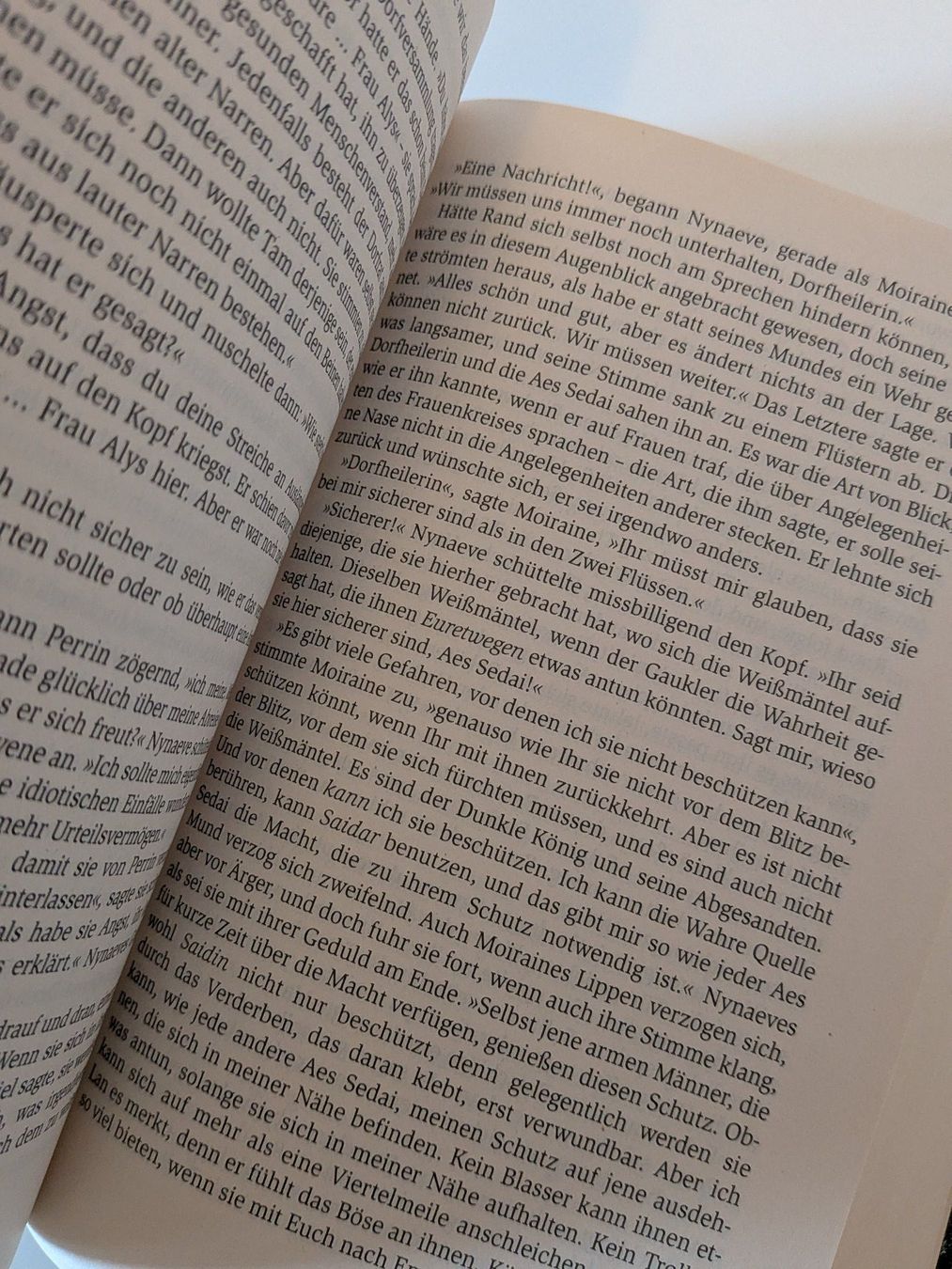 Libri: Robert Jordan Das Rad der Zeit – Nuovo (secondo la descrizione) da Zürich venduto da Joba-Sell 2
